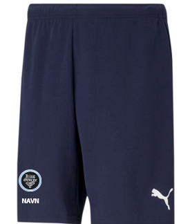 KING GEORGE Puma TeamGOAL Shorts