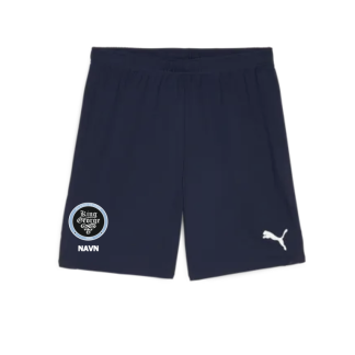FC KING GEORGE Puma TeamGOAL Trænings Shorts